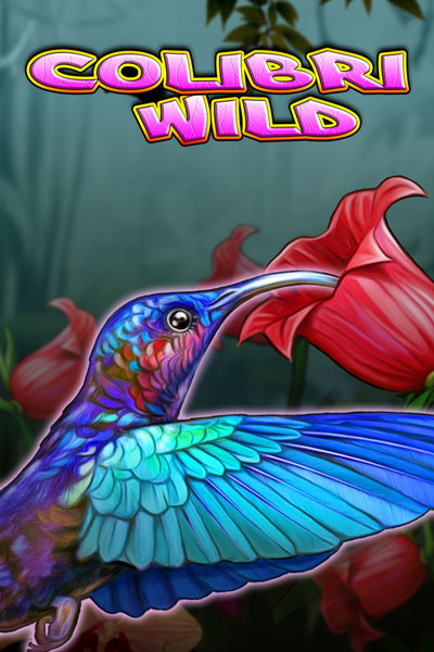 Colibri Wild